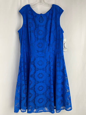 London Style Collection Lace Fit & Flare Dress Blue Breeze in 20W NWT