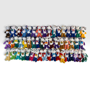 51 Pc Limited Treasures State Quarter Coin Plush Bears NWT (48 States + 3 Terr)