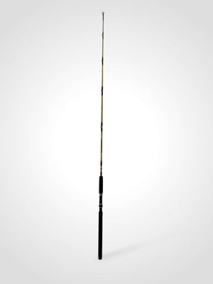 Penn Baymaster One Piece Casting Fishing Rod 6' 3210C
