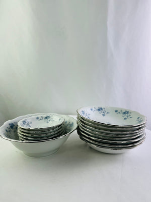 Johann Haviland Blue Garland Bowl Set of 14 Serving Soup Fruit Bowls Bavaria