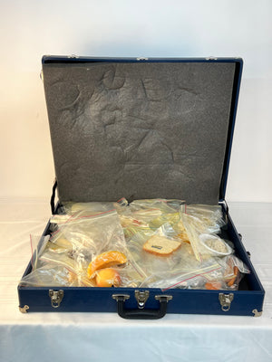 50 Piece Set Nasco Life Form Play Prop Food Realistic Dietitian Set & Carry Case